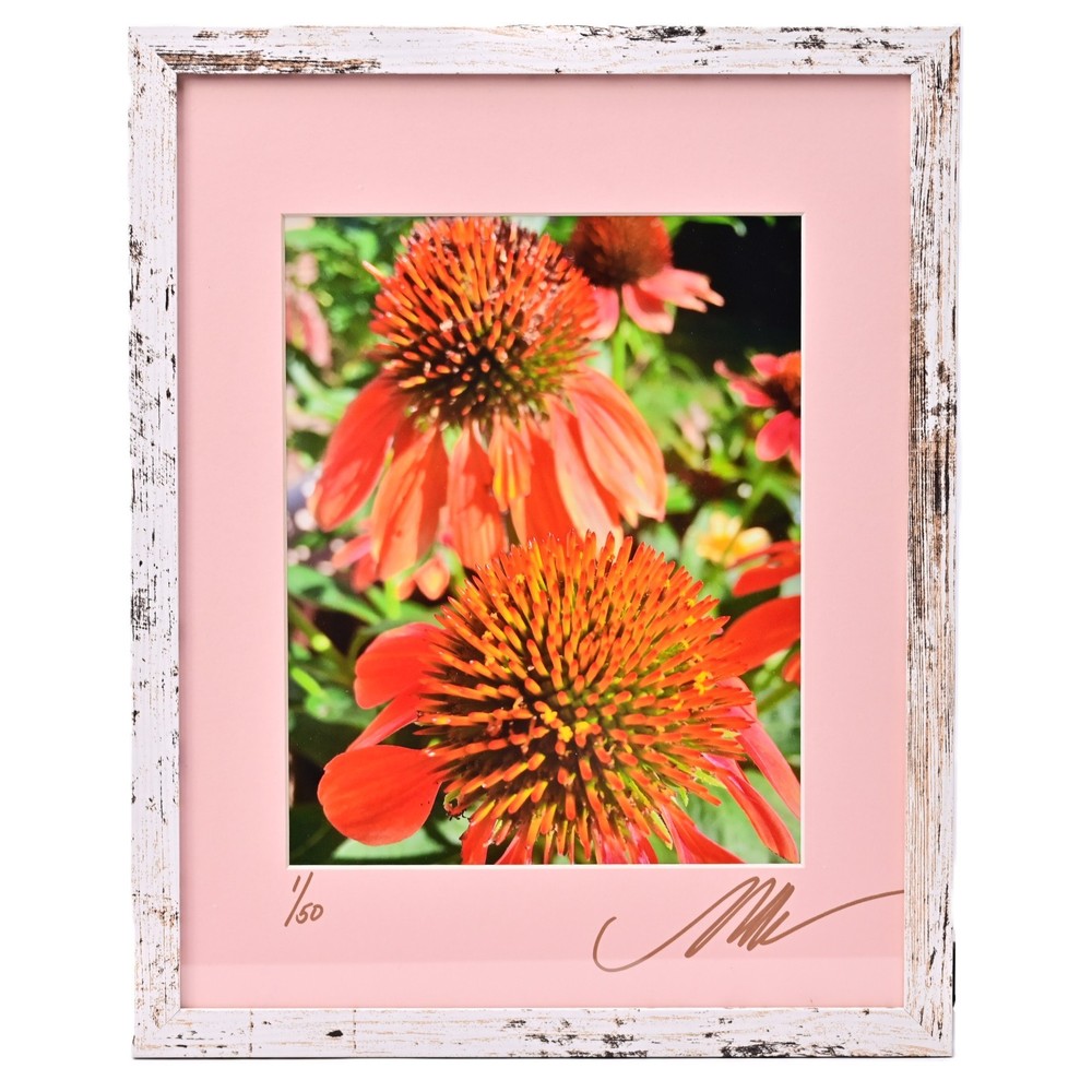MICHAEL RAY Original Vintage Signed Long Island NY Floral Still Life Photograph