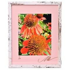 MICHAEL RAY Original Vintage Signed Long Island NY Floral Still Life Photograph