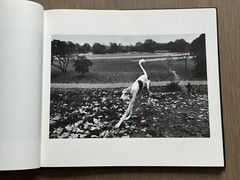 🎈SALE! RARE! Super Book! Josef Koudelka Exiles Revised and Expanded 1997 HC DJ