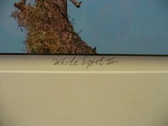 MATTED PHOTOGRAPHY Paynes Prairie White Egret 3 16×20 Dominick Martino
