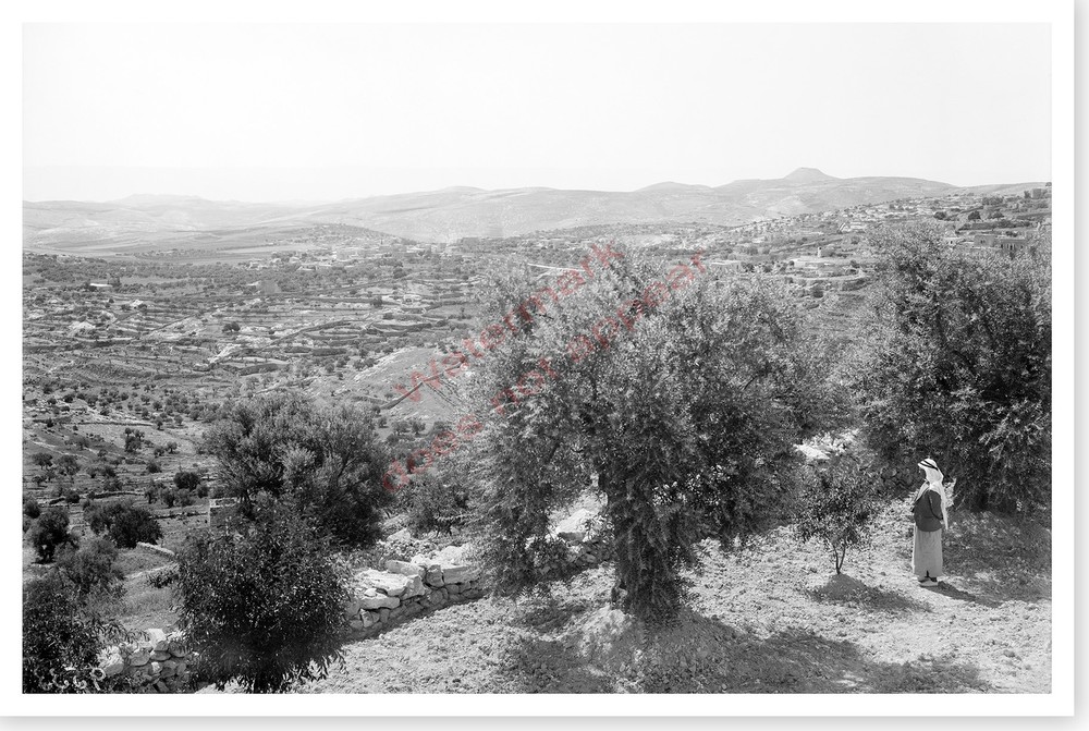 Holy Lands Shepherds Field And Frank Mountain Silver Halide Photo