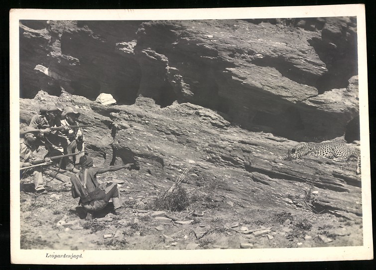 Photograph German South West Africa / Namibia, Native & Schutztruppe on Leo