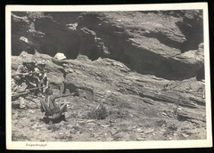 Photograph German South West Africa / Namibia, Native & Schutztruppe on Leo