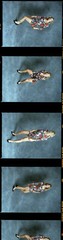 1 roll (10 negatives) color medium format Kodak film VPS sexy pinup