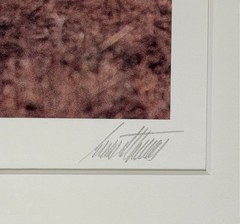 Ernst Haas «Kenya» Photograph
