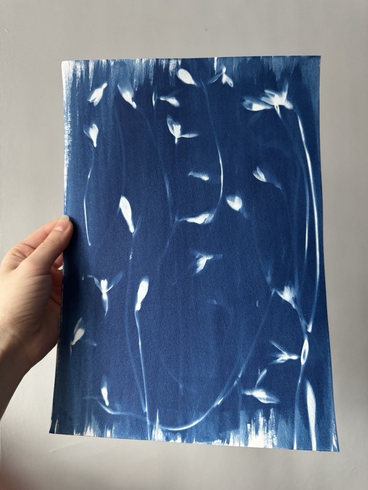 Original Cyanotype Art – Snowdrops | Botanical Print 20×30 cm Handmade