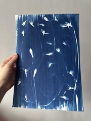 Original Cyanotype Art – Snowdrops | Botanical Print 20×30 cm Handmade