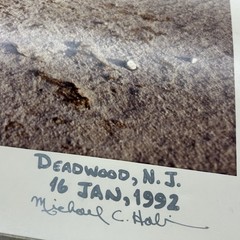 Michael C Hall Signed Photograph Deadwood NJ 1992 Pine Barrens Landscape 16×20