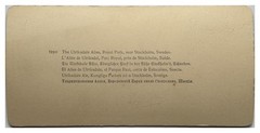 Vintage Stereo Photo 1897 Tirage Original Allée Ulriksdal