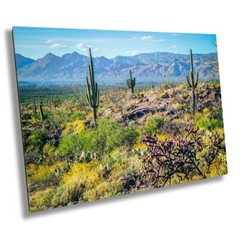 Desert Tapestry: Saguaro National Park East Arizona Cactus Desert Wall Art