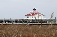 «Light in the Marshes» Lighthouse Wall Art