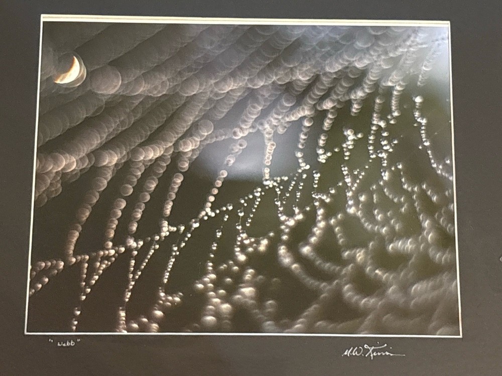 Signed Fine Art Macro Photograph Abstract Spiderweb Dew Drops – M.W. Finn