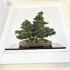 Nihon Bonsai Sakufu Ten 5th 1980 potted plants Japanese tradition art Photo Book