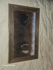 Tim DePuydt Framed Moose Photo Print 18×31 Rustic Montana Cabin Wildlife Art VTG