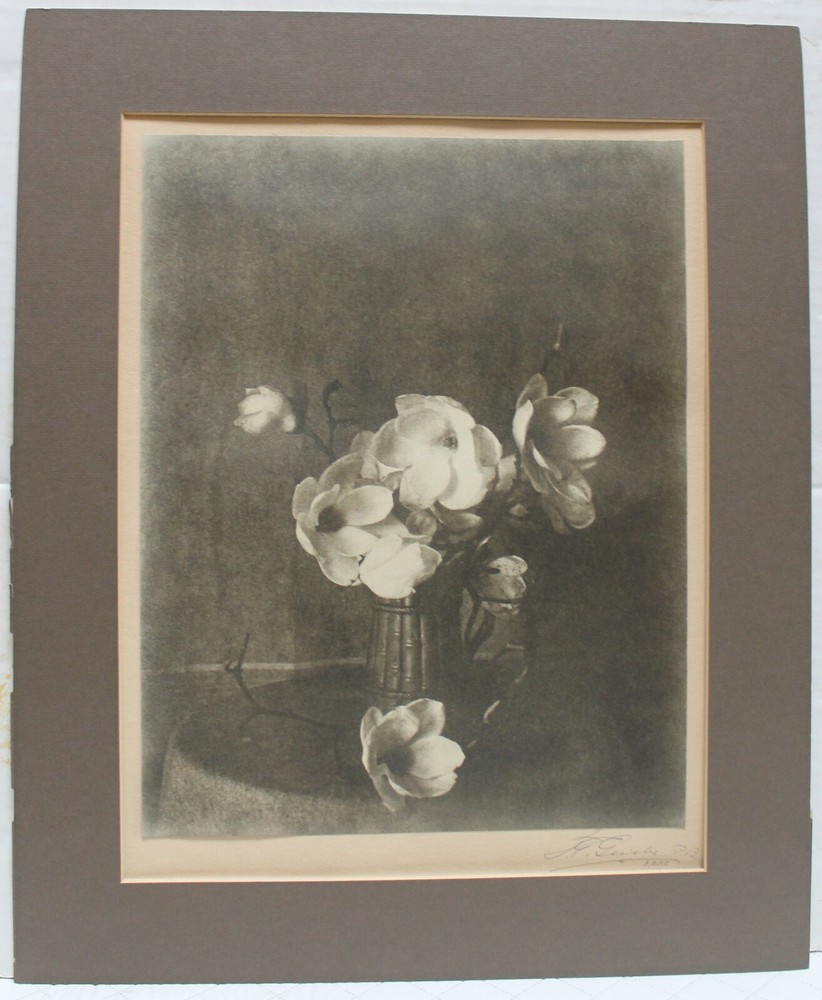 PICTORIALIST PHOTOGRAPH, FLOWERS IN A VASE