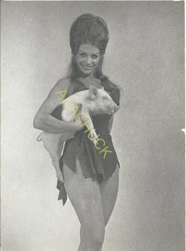 Hendrickson Hand Tinted 5×7 Photograph Country Vixen High Hair Holding Pig R172