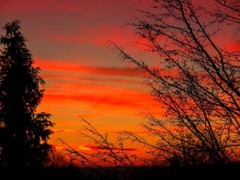 Photo Digital Product Wallpaper Image Picture Background for a print sunset –