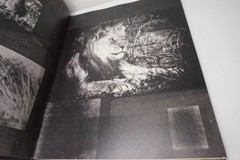 Peter Lik Photography Book B-Sides