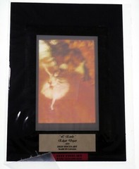 StereoJet Polarized Print 3D Stereoscopic Photo EDGAR DEGAS Prima Ballerina 4