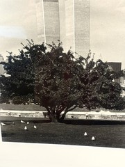 WTC Twin Towers NYC Black & White Photo Print Custom Matted & Framed 19 x 22 #2