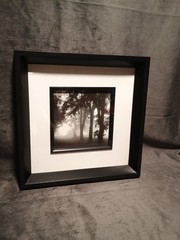 2 Modern Black & White Photography Trees Minimalist Moody 11.25 » Square Frames