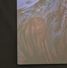 Zion National Park Narrows Photograph Signed David J. West on Aluminum 12″×12″