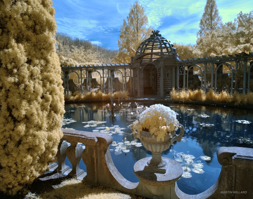 Beautiful 11×14 infrared photo. Mounted on 11×14 board great for framing.