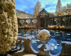 Beautiful 11×14 infrared photo. Mounted on 11×14 board great for framing.
