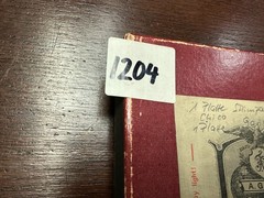 2 x Study Chimpanzee Head on Glass Plate, Photo TE1204