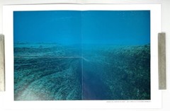 Noguchi Rika (b. 1971) Art Announcement Card / Fold Out Poster Print 2005
