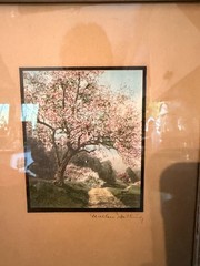 Pair Wallace Nutting Hand Colored Photos Framed Floral Landscape Prints