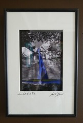 Neil R Brown “Lower Calt Creek Falls” Art Photograph Print Signed