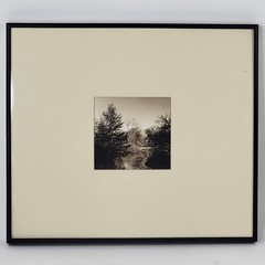 Steven Michael Bogdonas | Morton Arboretum (2001) Original Hand-Printed Photo