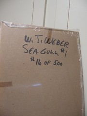 Wildlife Photographer William Weber Matted Seagull Signed-New, Geese, Marred Owl
