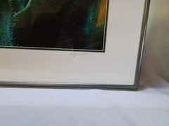 «Sunflower Graphic» – Framed Close-Up Photograph by Gary Coleman