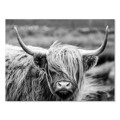 SEVEN WALL ARTS Highland Cow Photography Wildlife Portrait Picture Black and …