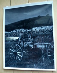 JOHN HALEY RARE CALIFORNIA CA CALIF LISTED PHOTOGRAPH MODERNISM Black and White