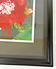 Epiphyllum or Orchid Cactus Brilliant Red Flower Photo Matted & Framed 13″Wx16″H