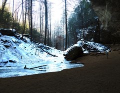 LANDSCAPES 8.5×11 or 13X19 BORDERLESS GLOSSY PRINT (FREE SHIPPING)