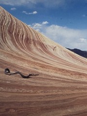 Edwin C Esleeck Signed Photograph The Wave Coyote Buttes 1999 Framed
