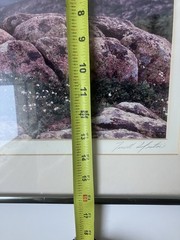 Signed Terrell Lester Cadillac Mountain No. 1 Maine Photo 1987 Art Photography