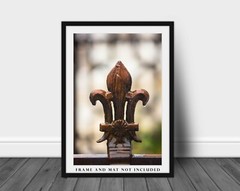 Fleur de Lis Photography Print: Louisiana French Quarter New Orleans Photo