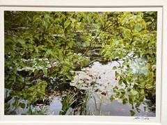 John Batho, C Print, Giverny, L’Etang, Lilas at Nympheas, 1983 Edition 2/15