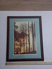 Framed Limited Edition Photograph — Sunset Silhouette Forest — Signed & Numbered