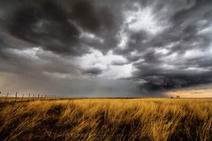 Thunderstorm Photography Print – Picture of Storm Over Prairie Grass in Oklahoma