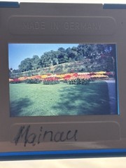🌠55 Vintage Color Slides Slide 60-80s Lake Constance Mainau Rhine Falls Nature Places Travel +
