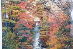 Vintage Waterfall Photo With Rustic Wooden Frame Green Matting By Bill Bates