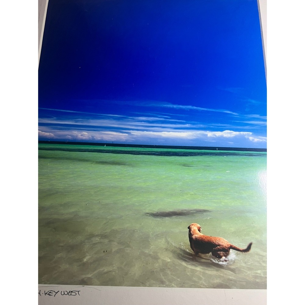 Tony Scullin Dog Beach Key West Photo Print Signed Coastal Art Matted 16×20