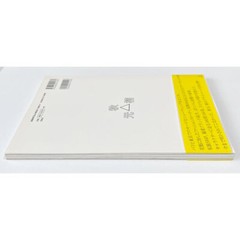 Kozue Akimoto First Style Photo Book Japan Used