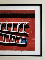 ART – Signed Ryan Miller 35mm Photograph – Modern Art Print 19.5×13.5 Framed